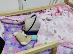 -芭比堂宠物医院·全科爱猫医院·仁德分院