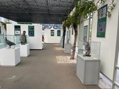 -陕西自然博物馆