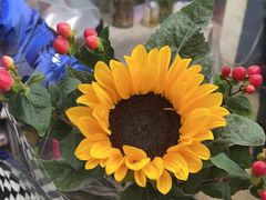 -亭亭鲜花店(中山北路店)