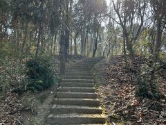 -上海佘山国家森林公园天马山园