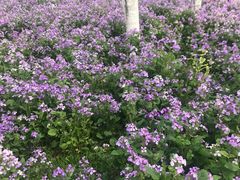 -白塘生态植物园