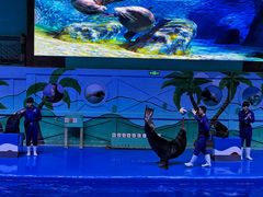 -石家庄极地海洋世界