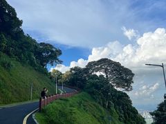 -黄埔油麻山森林公园