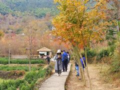 -塔川景区