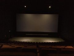 -首都电影院(天津店 中国巨幕)
