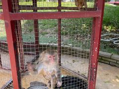 -武汉紫薇都市田园