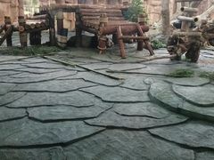 -泉州海丝野生动物世界