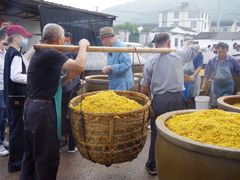 -苏州市吴中区光福窑上花果蜜饯厂