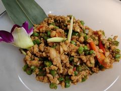 罗勒叶炒鸡肉碎-太食獸泰式茶餐厅(北美新天地店)