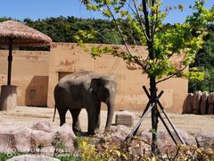 -沈阳森林动物园