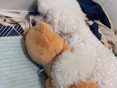 -comecome来吧宠物(奥克斯中心店)