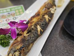盐烤秋刀鱼-禾绿回转寿司(国瑞店)