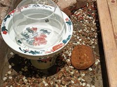 -龙源茶坊(白银路店)