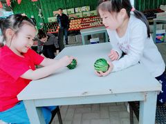 -西瓜小镇