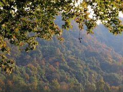 -中国茶叶博物馆(双峰馆区)