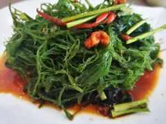 海草-蚝家菜馆(沙井店)