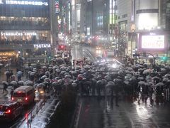 -涩谷区