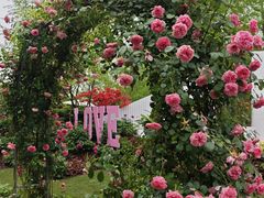 -武汉园博园(武汉自然博物馆)