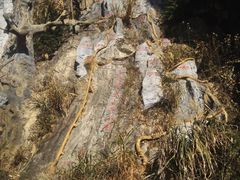 -罗田天堂寨风景区