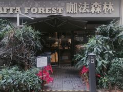 -咖法森林·咖啡  酒吧(天河店)