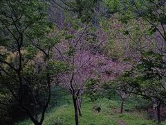 -马头山
