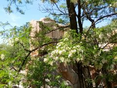 -南戴河国际娱乐中心