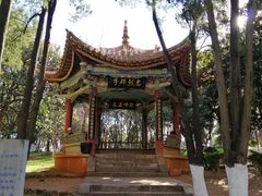 -昆明动物园