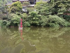 -青城山