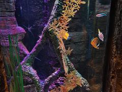 -沈阳海洋探索中心