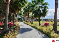 -亚龙湾国际玫瑰谷