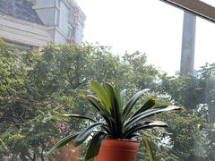 -奕景海鲜酒家· 大连海鲜(星海广场店)