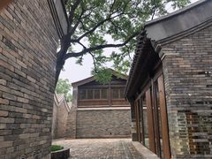 -春风习习