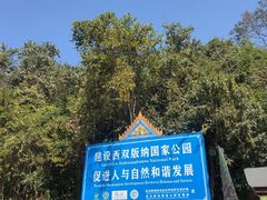 -野象谷景区