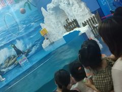 -左海海底世界