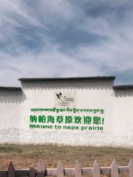 -纳帕海依拉草原