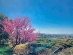 -南京市江宁方山