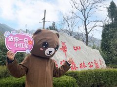 -少华山国家森林公园