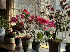 -云之南(八里庄店)