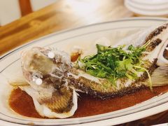 清蒸西边江鱼-八仔大富楼·河鲜(西江店)