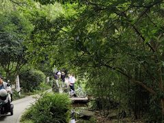 -成都市活水公园
