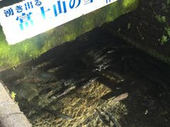 -富士山吉田線五合目