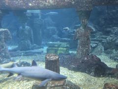 -海合安青岛极地海洋公园