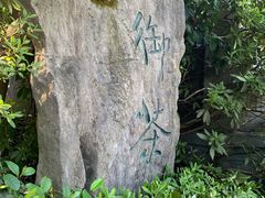 -十八棵（老龙井）御茶园(老龙井店)