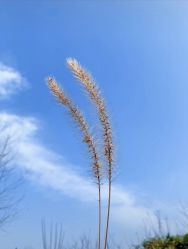 -可可天空农场(中大店)