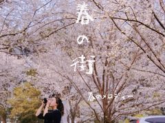 -武汉大学-樱园