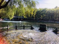 -百脉泉景区
