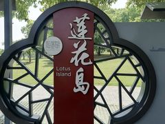-莲花岛景区