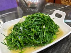 -靖远尕六美味羊羔肉