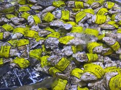 -聚盛源蒸汽海鲜火锅烤肉自助(巨川金海岸购物广场店)