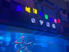 -泉城欧乐堡海洋极地世界